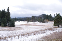 Meadow