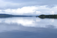 Wetland