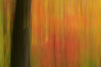 Abstract